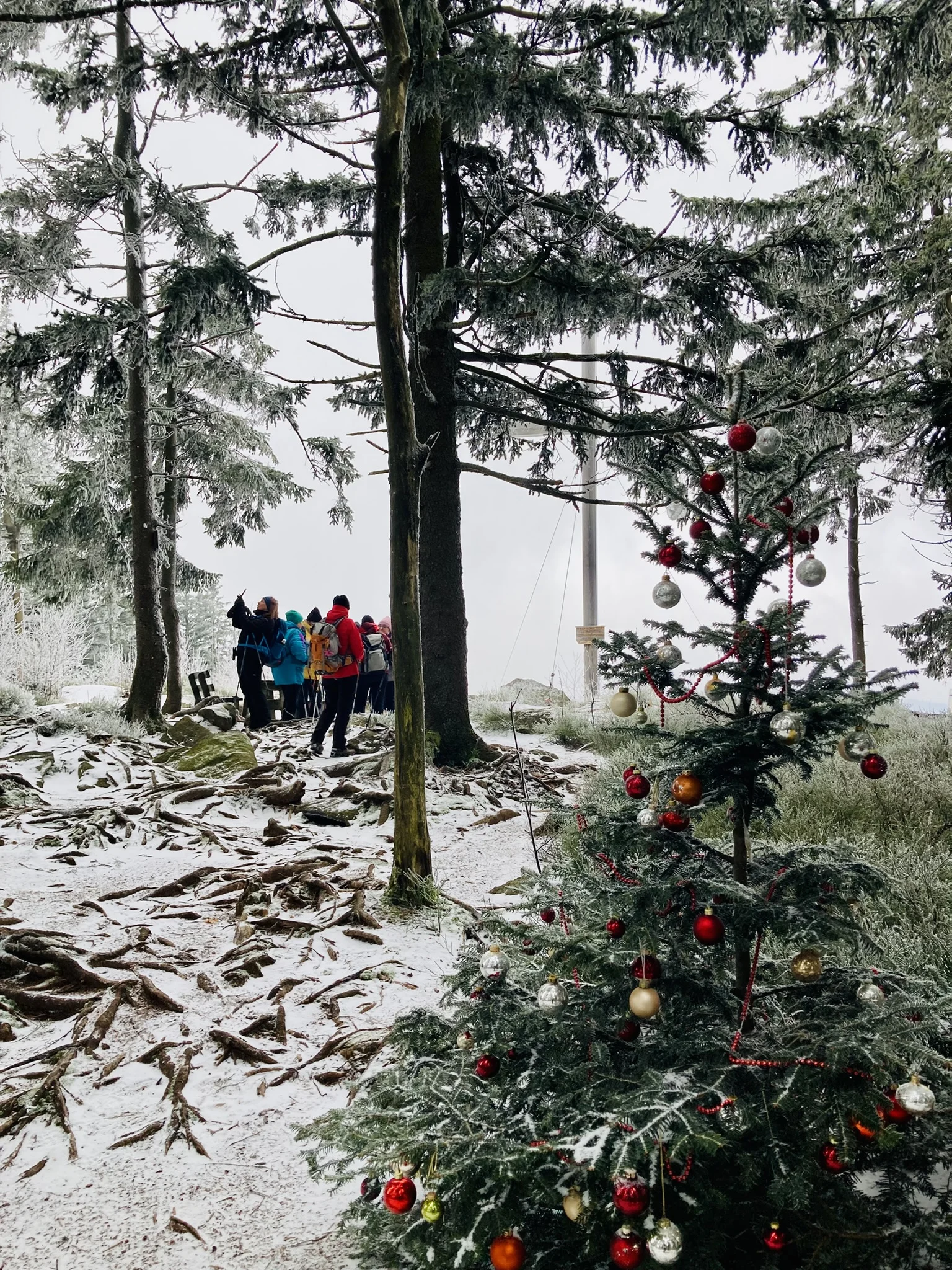 Winterwanderung auf die Käsplatte  | © Meier Brigitte