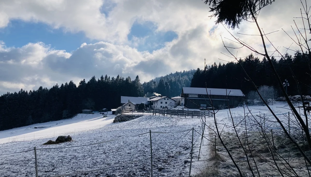 Winterwanderung auf die Käsplatte  | © Meier Brigitte