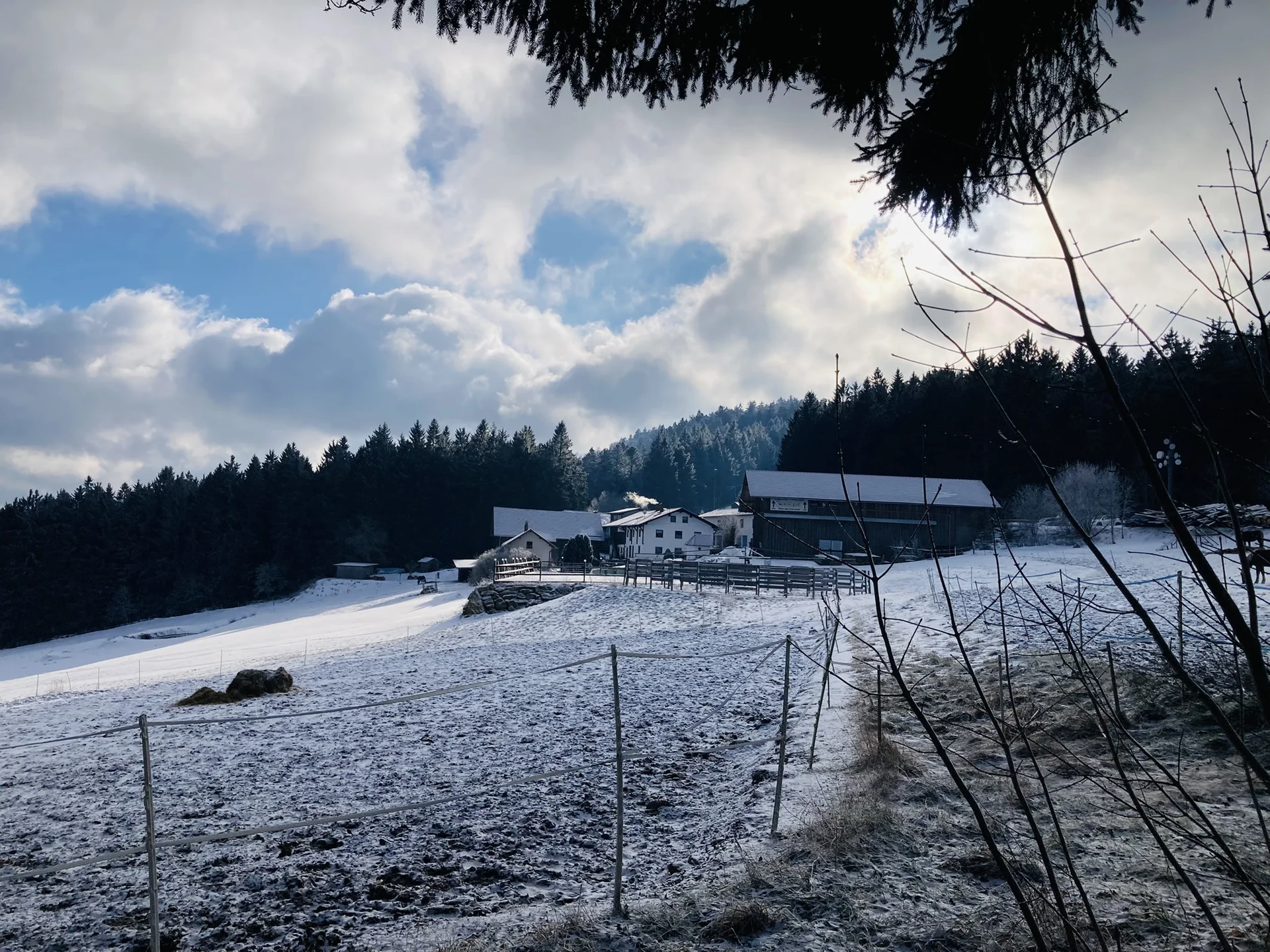 Winterwanderung auf die Käsplatte  | © Meier Brigitte