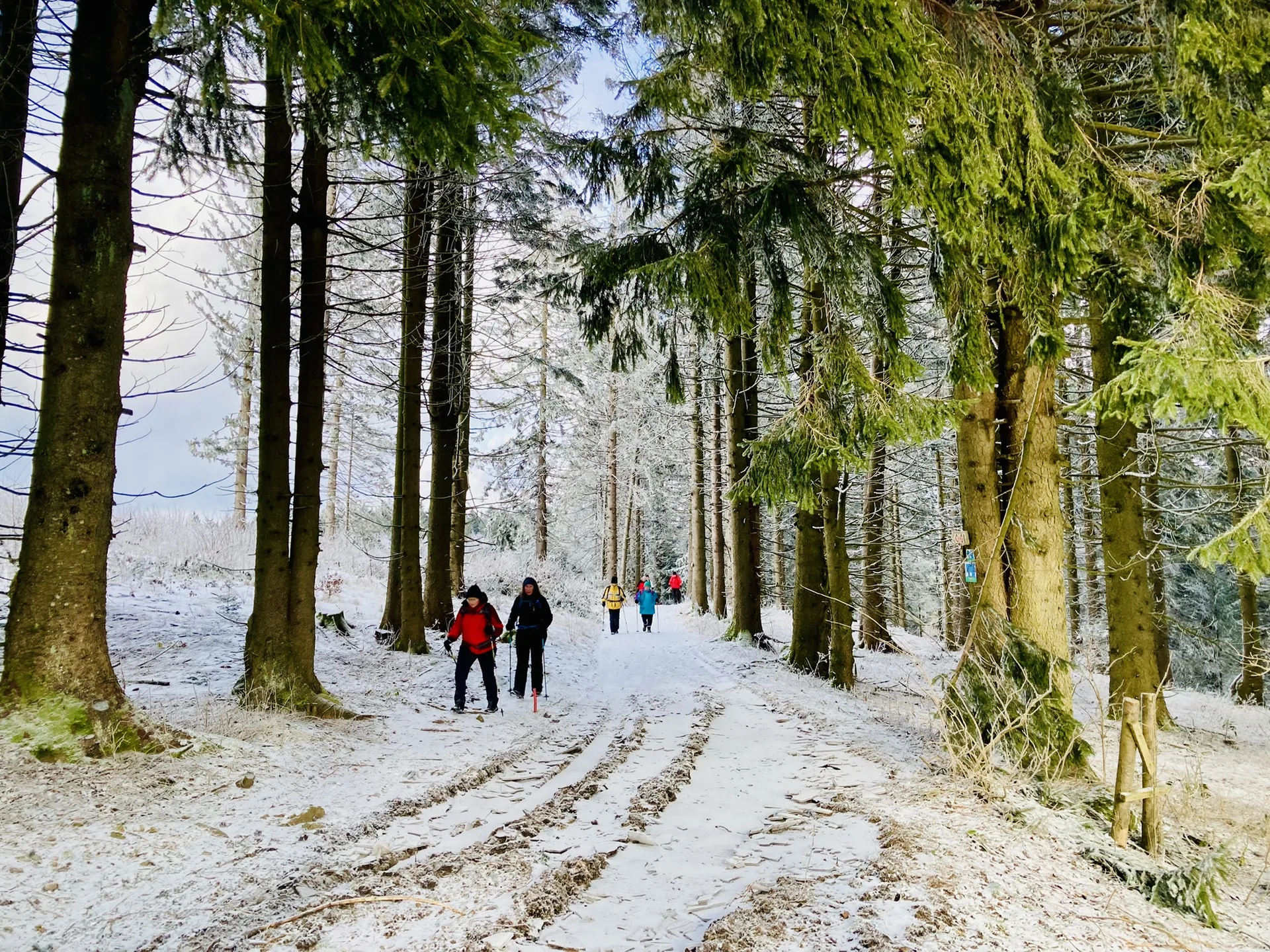 Winterwanderung auf die Käsplatte  | © Meier Brigitte
