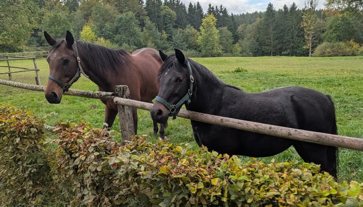 Rund um das Salettl | © Maier Georg, Hoidn Andreas