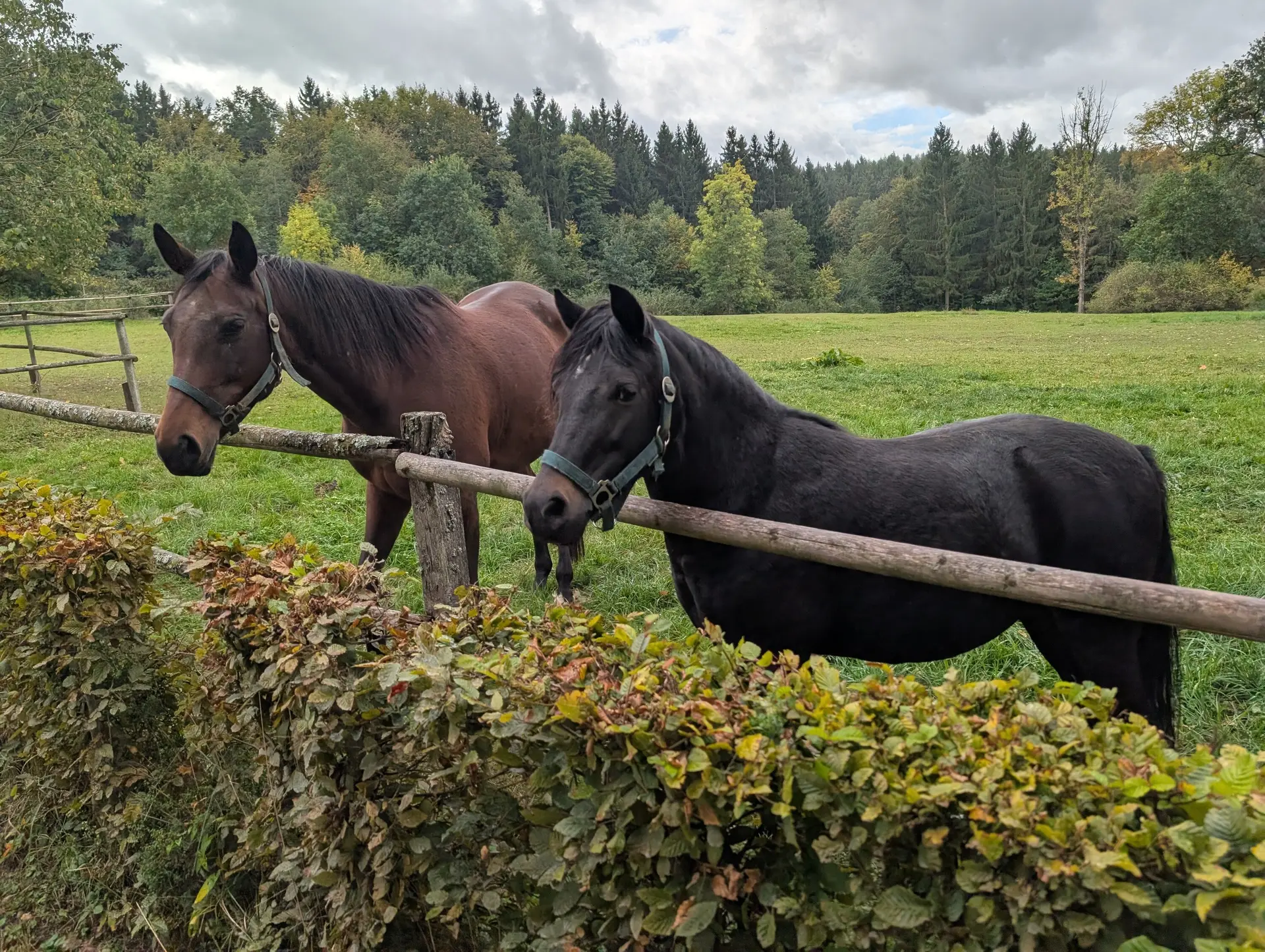 Rund um das Salettl | © Maier Georg, Hoidn Andreas