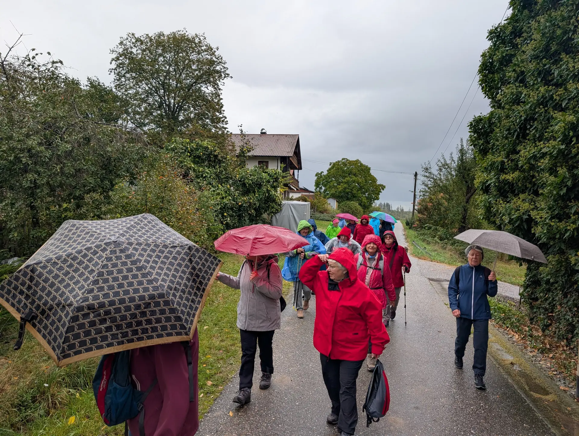Rund um das Salettl | © Maier Georg, Hoidn Andreas