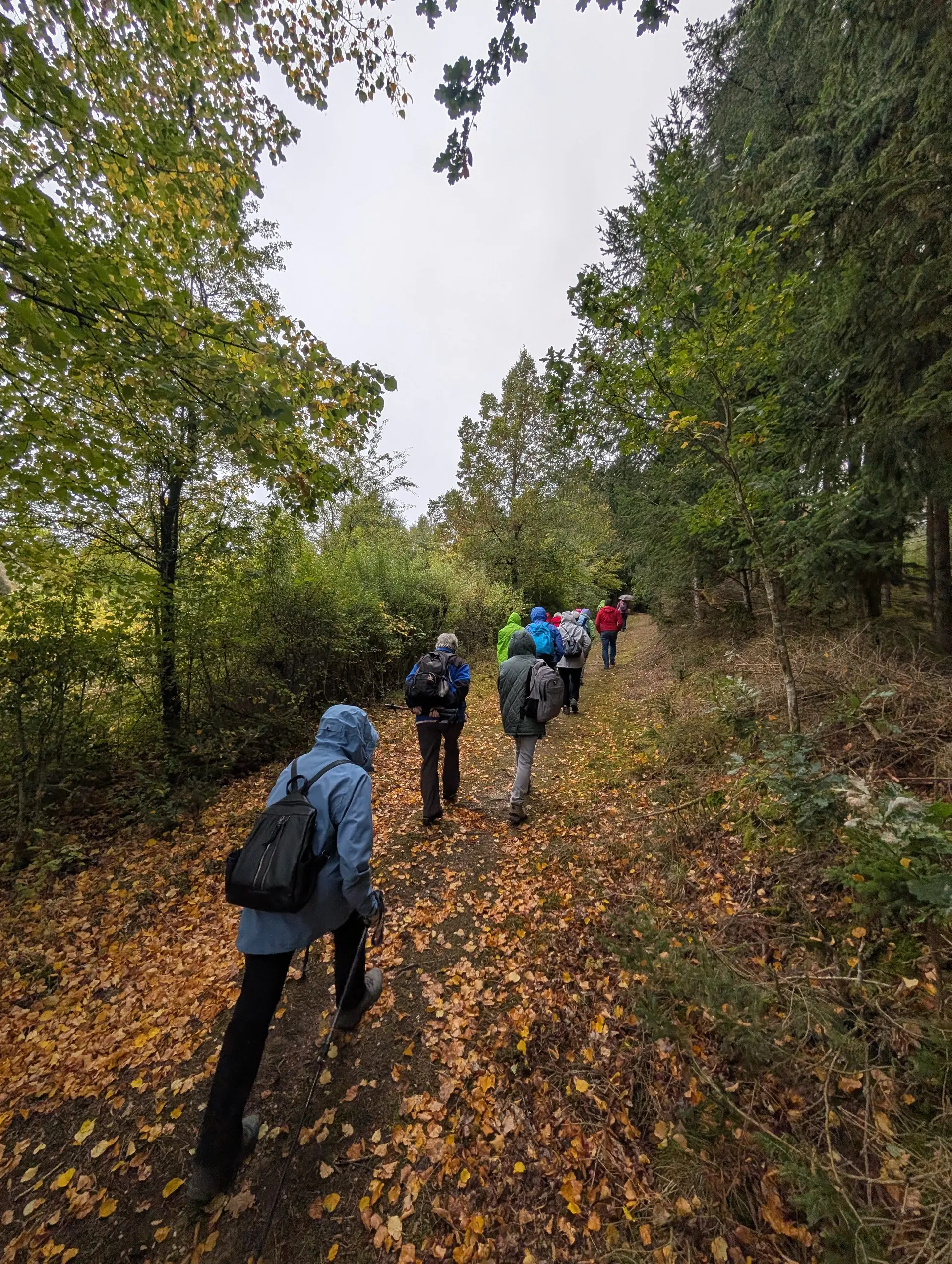 Rund um das Salettl | © Maier Georg, Hoidn Andreas