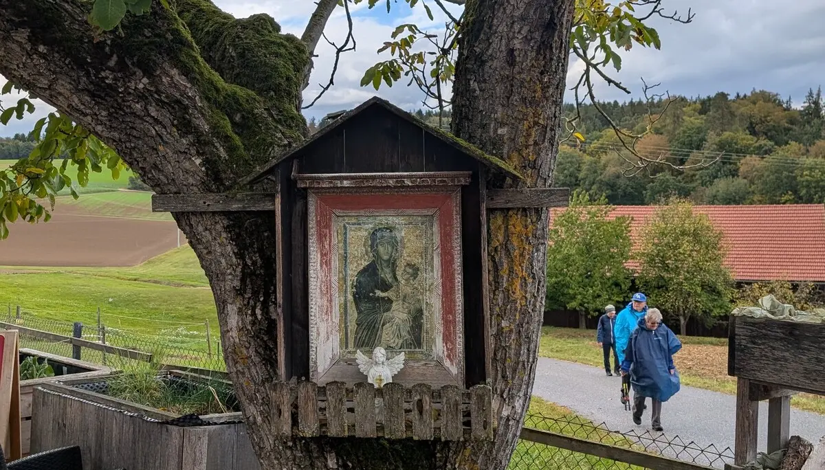 Rund um das Salettl | © Maier Georg, Hoidn Andreas