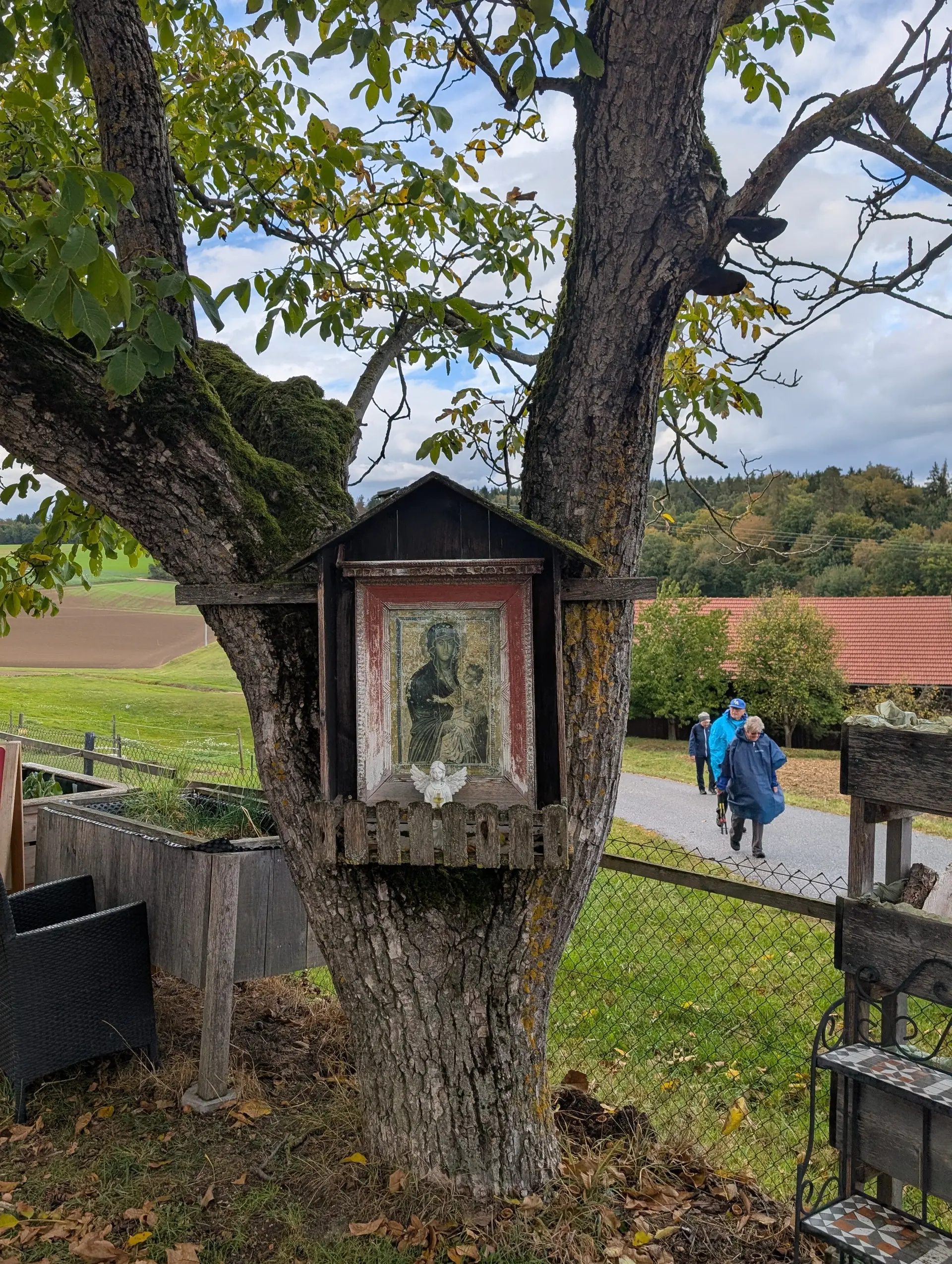 Rund um das Salettl | © Maier Georg, Hoidn Andreas